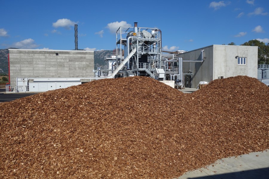 Biomassa vergine